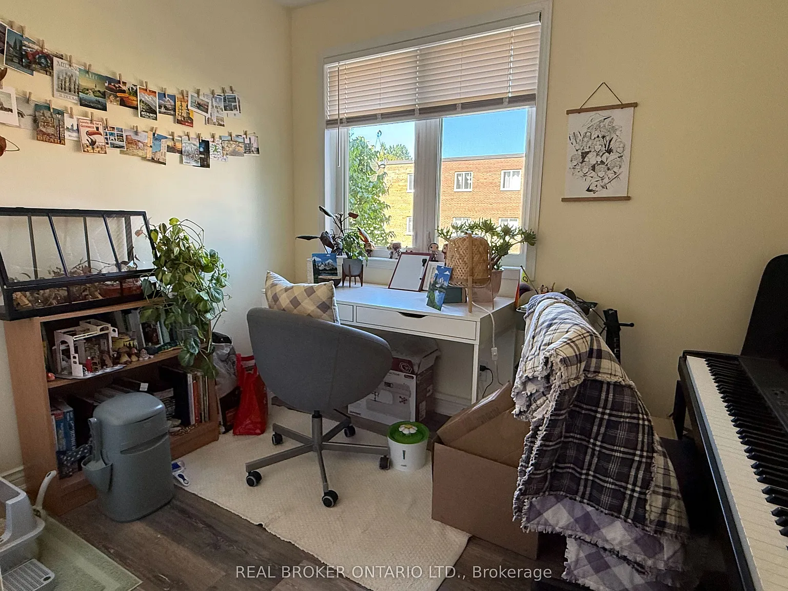 2 bed, $2,300 — Photo 4
