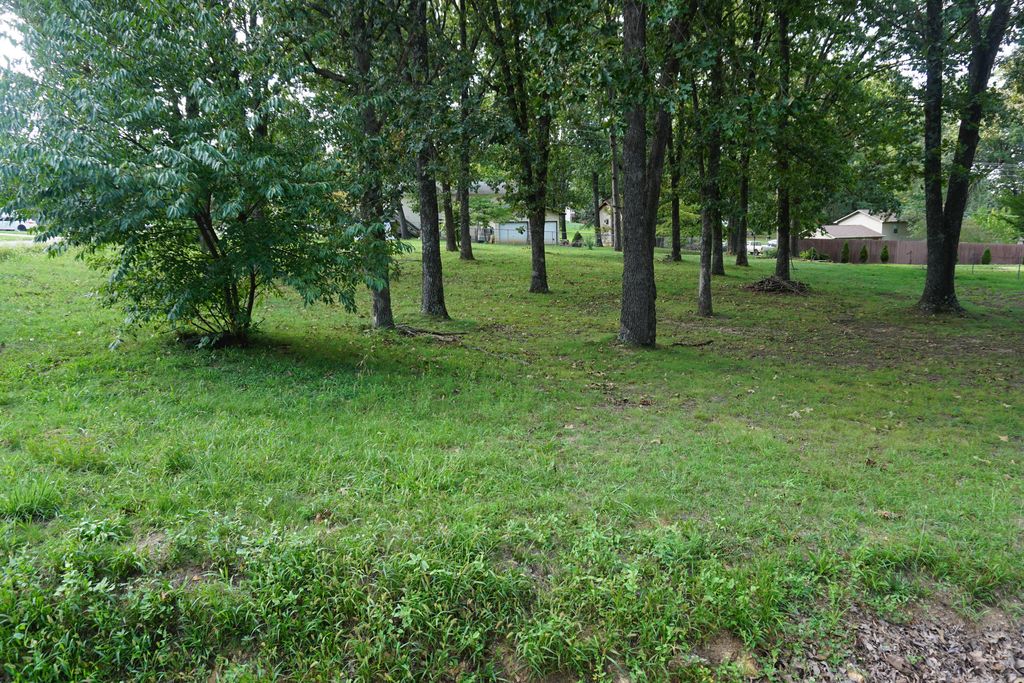 000 Joann Drive, West Plains, MO - View 3