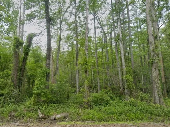 Traino Rd, Ponchatoula, LA 70454