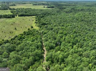 2600 Fair Haven Rd, Eastman, GA 31023