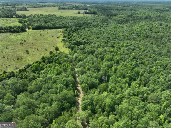 2600 Fair Haven Rd, Eastman, GA 31023