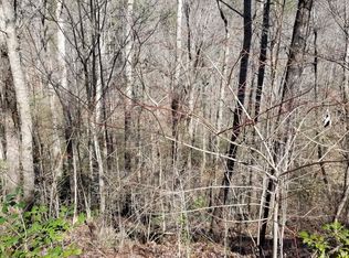 138 Rhondas Way #1, Ellijay, GA 30540