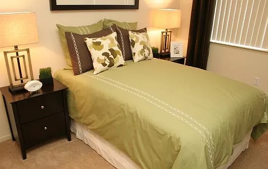 Palmilla at Campus Pointe — Photo 9