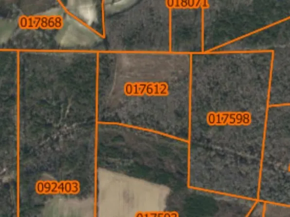 TBD Swamp Fox Hwy. W, NC 28439