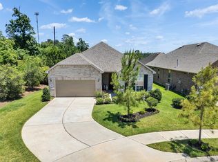 223 Spotted Saddle Ct, Spring, TX 77382