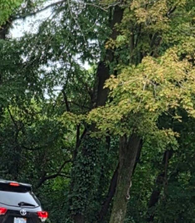 1st image of 0 Union Lake Rd