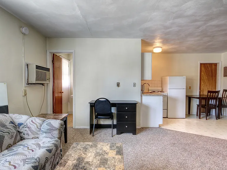 311 E White St #10 — Photo 8
