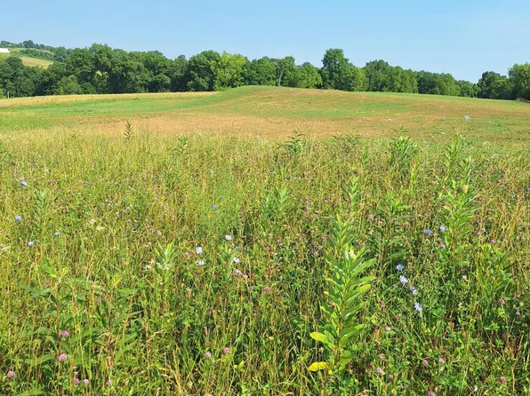 405 Robinson Rd, Cynthiana, KY 41031