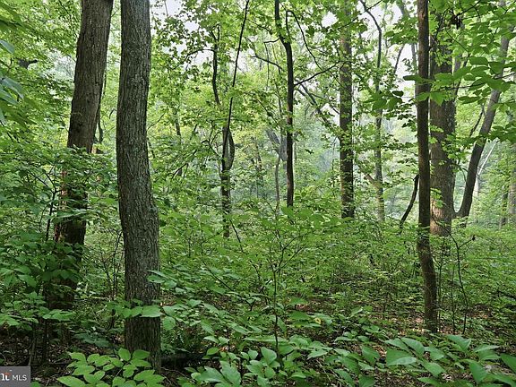 2nd image of Gooney Manor Loop