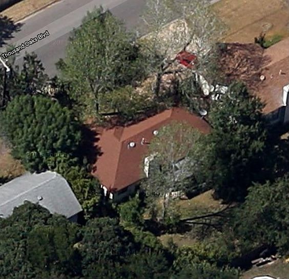 View of Trees