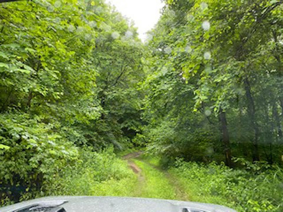 2nd image of 0 Jennys Fork Map 48 0 0 Lot 5-008.00