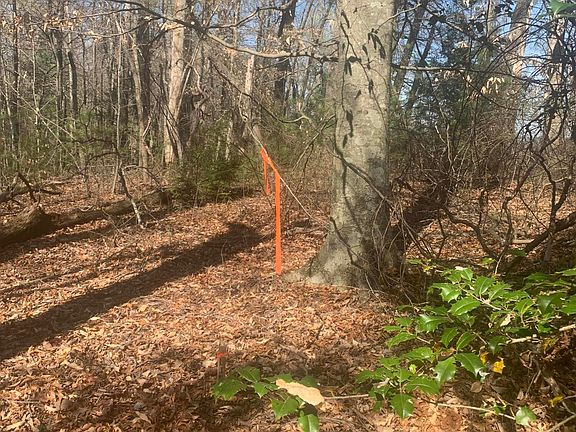 4th image of Jr Gray Rd