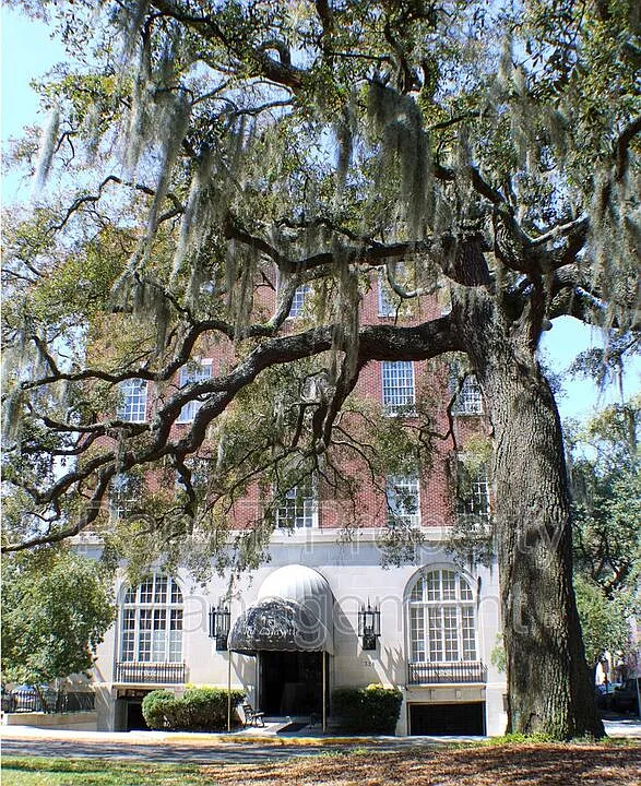 321 Abercorn St #108