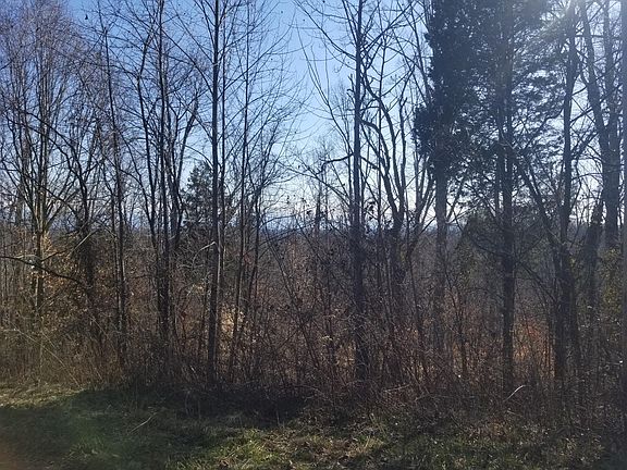 5th image of 11 Walk In The Trees Dr Lot 11