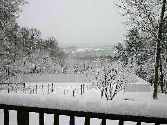 Winter View