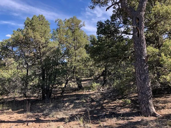 Portion Of Lot 70, Tres Piedras, NM 87577