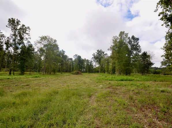 0 County Road 1435, Vinemont, AL 35179