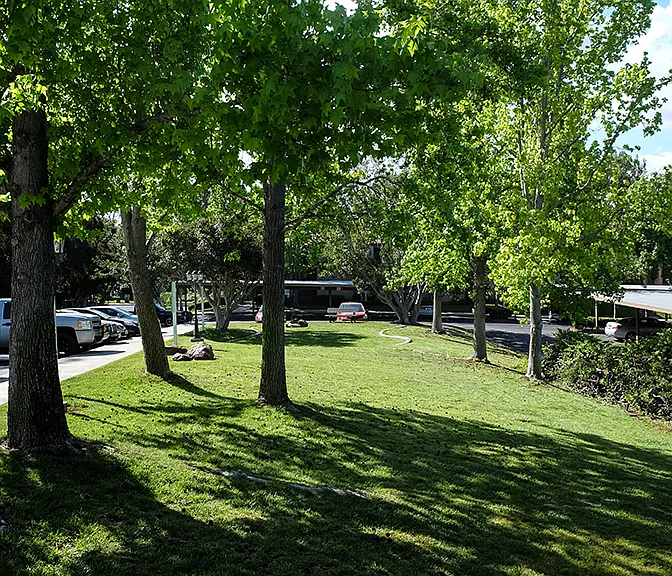 Shadowridge Summerwind — Photo 7