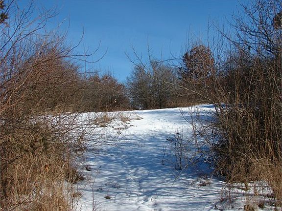 5th image of 24 Mile Rd