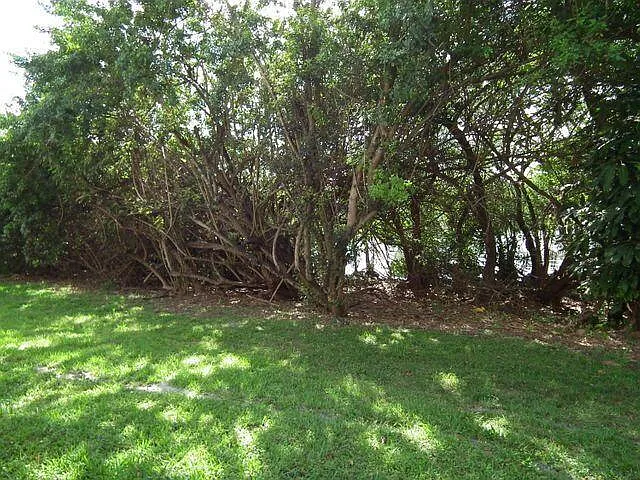 815 W Boynton Beach Blvd #10103 — Photo 14