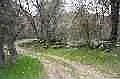 3677 Quail Ridge Dr photo 1