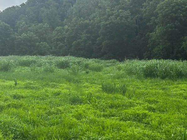 687 H M Garrison Rd, Manchester, KY 40962