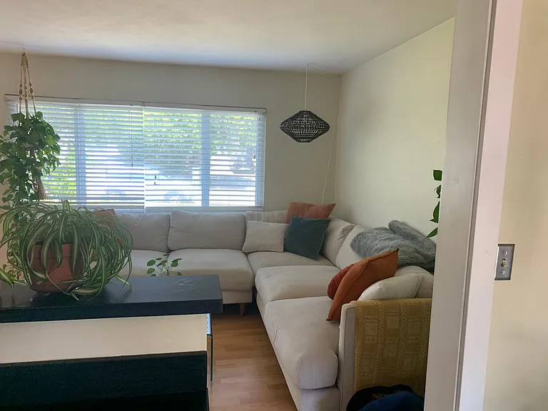 933 Dogwood St — Photo 12