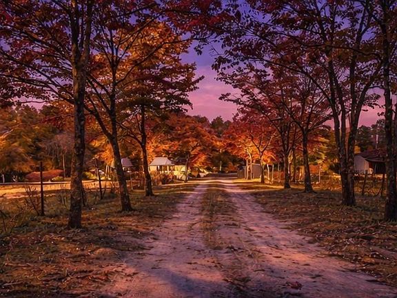 4th image of 646 Briar Creek Rd