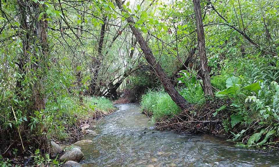 RIVER - GLASMANN WAY PARK