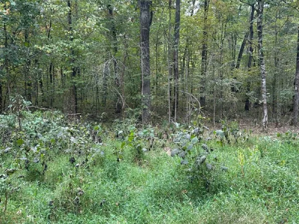 0 Cathedral Caverns Rd, Woodville, AL 35776