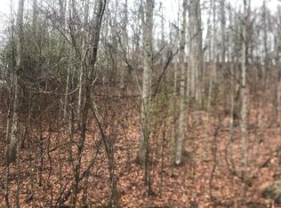 47A Roan Creek Rd, Butler, TN 37640