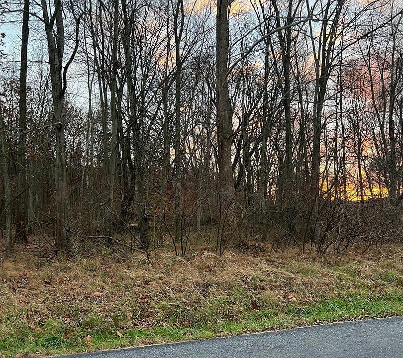 2nd image of Blue Mountain Rd