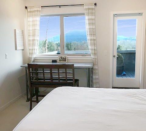 Amazing Mountain and Lake Sammamish View at Maste Suite