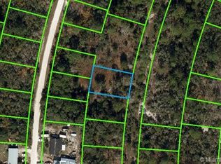 368 Dreamers Dr, Lake Placid, FL 33852