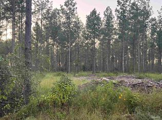 LOT 4 Wallace Lake Rd, Milton, FL 32571
