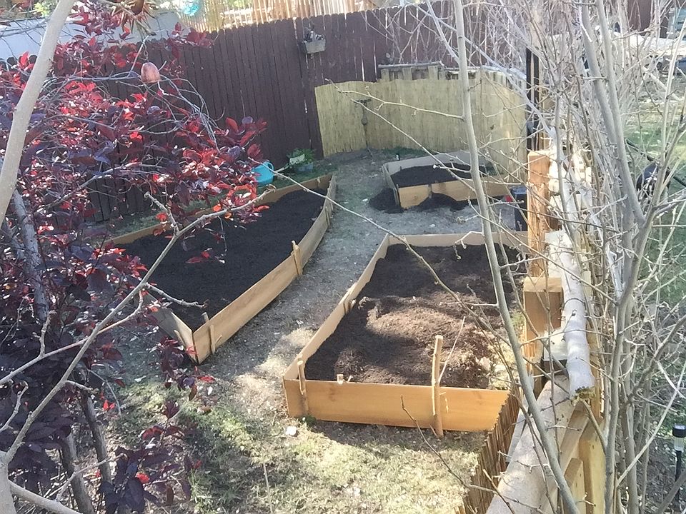 2nd image of 2997 Pinyon Ave
