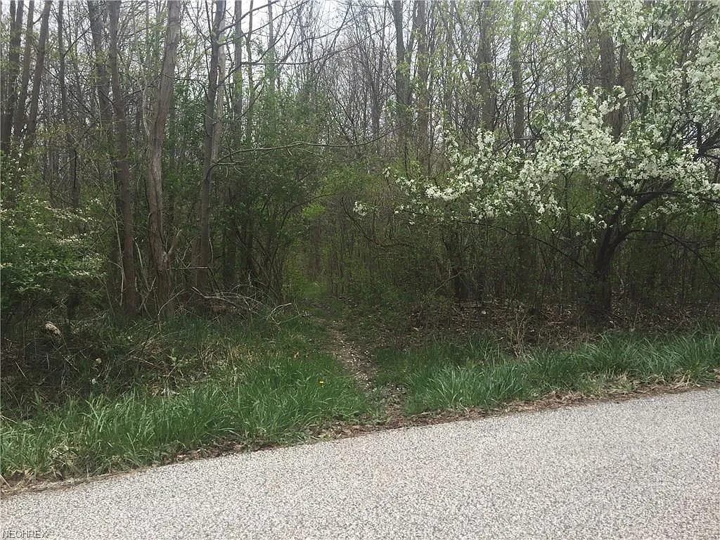 McKinley Ave photo 1