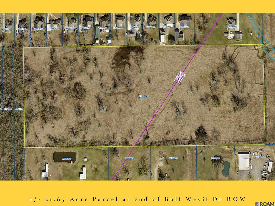 2nd image of Bull Wevil Dr