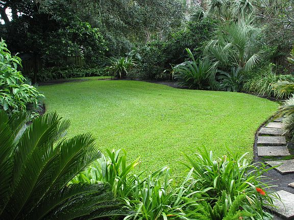 Back yard