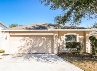 6542 Tabogi Trl, Wesley Chapel, FL 33545