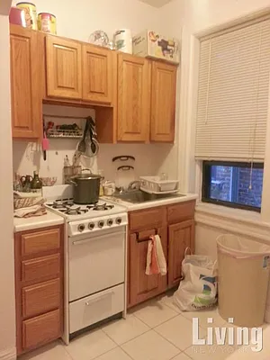 Rented by Living New York | media 28