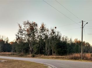 0 SE 156th Place Rd, Summerfield, FL 34491