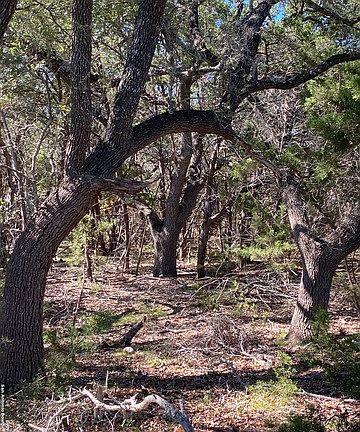 3rd image of 1212 Fm 484