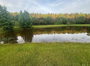 436 Harrisville Braxton Rd, Braxton, MS 39044