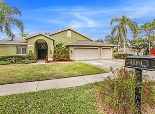 4793 Brayton Ter S, Palm Harbor, FL 34685