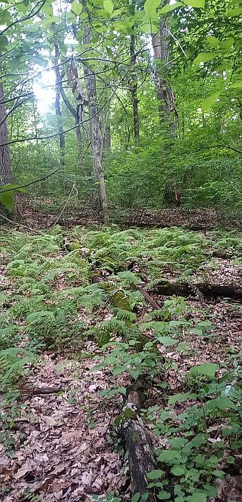 2nd image of 5190 Sweitzer Rd