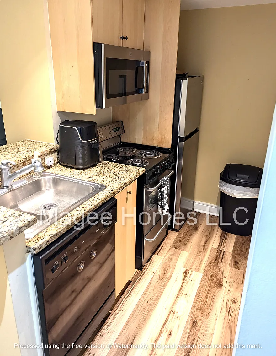 Studio, 310 sqft, $1,410 — Photo 3