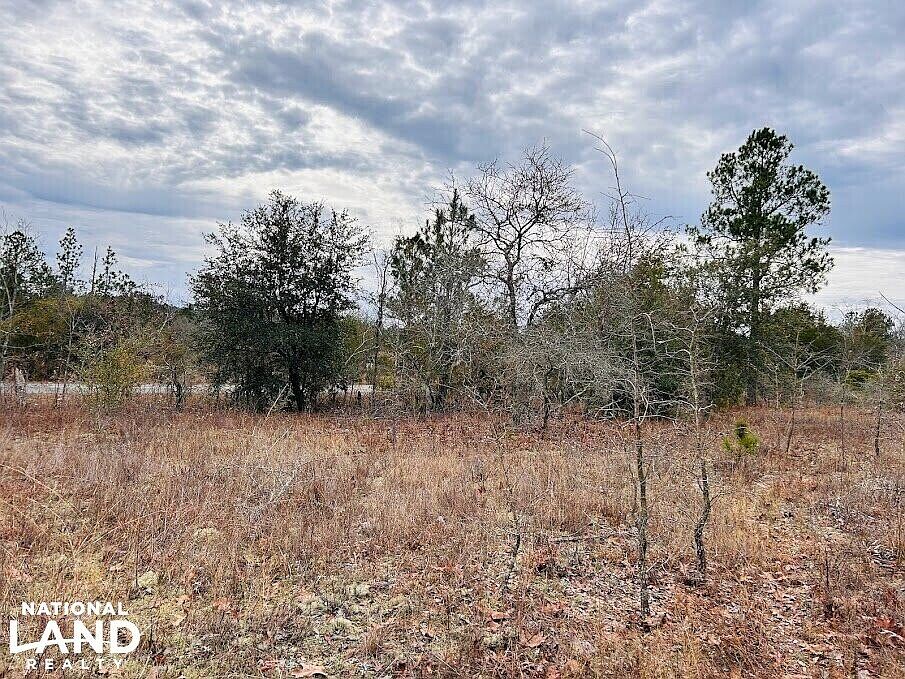 1st image of 0 Georgia Rd Tract 2