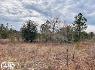 0 Georgia Rd TRACT 2, Butler, GA 31006