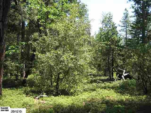 1st image of 20 Acres